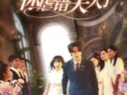 陆总住手吧，你虐错夫人了第41-60集