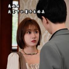 离婚后我拿下小舅子未婚妻第21-40集