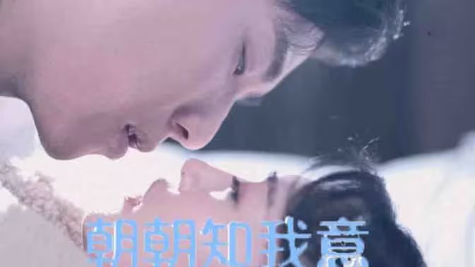 朝朝知我意第41-60集