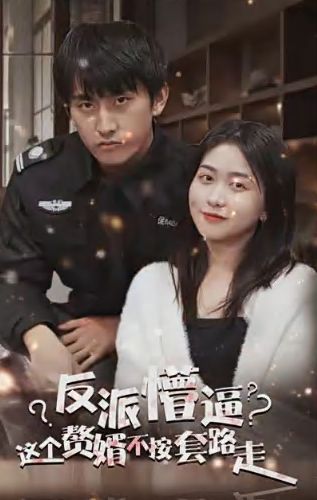 狂医废婿第21-40集