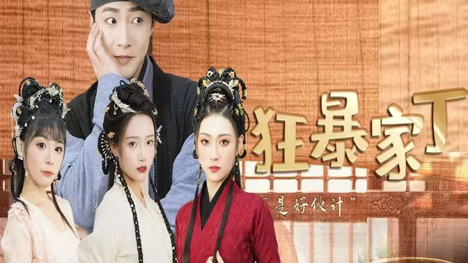 狂暴家丁第21-40集