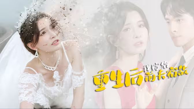 重生后我嫁给前夫宿敌第1-20集