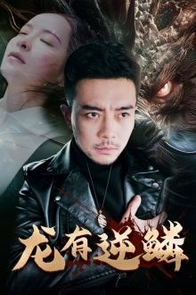 龙有逆鳞第41-60集