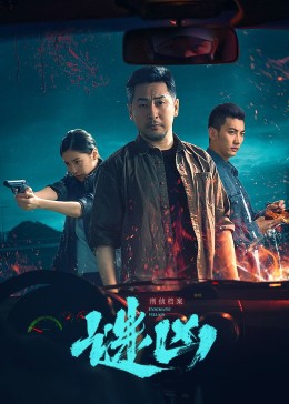 刑侦档案·谜凶第2集