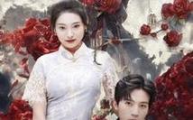 今夕长相夕第21-40集