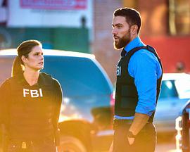 联邦调查局第四季第21集