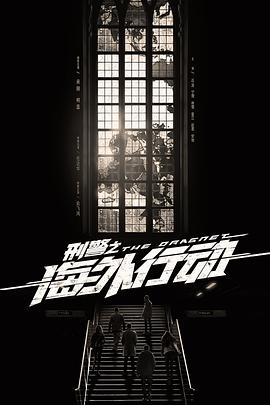 刑警之海外行动第21集