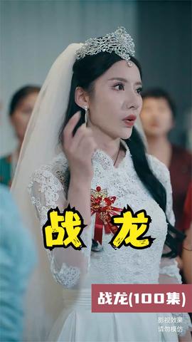 战龙全集(大结局)