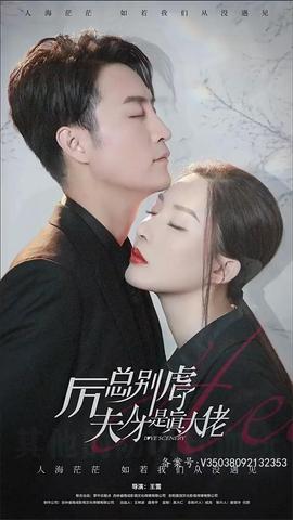 历总别虐了夫人才是真大佬全集(大结局)