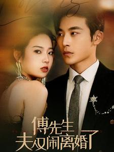 傅先生夫人又闹离婚了全集(大结局)