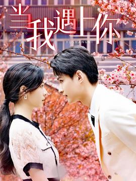 当我遇上你全集(大结局)