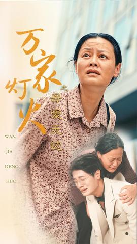 万家灯火之母爱无边全集(大结局)