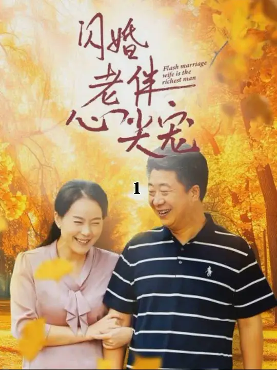 再回首闪婚之仍是心尖宠全集(大结局)