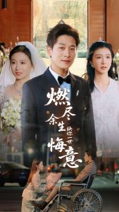 燃尽余生换你一世悔意全集(大结局)